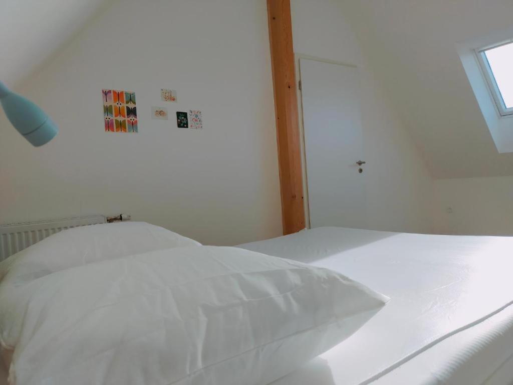 Gite Des 3 Cigognes Colmar Exterior foto